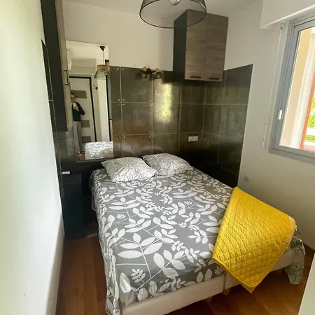 Appartement Juan Les Pins Joli T2 Parking Inclus!
